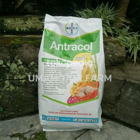 Fungisida Antracol Wp Plus Zinc Kg Lazada Indonesia