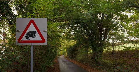 Natuurpunt Waarschuwt Voor Overstekende Amfibie N De Komende Weken