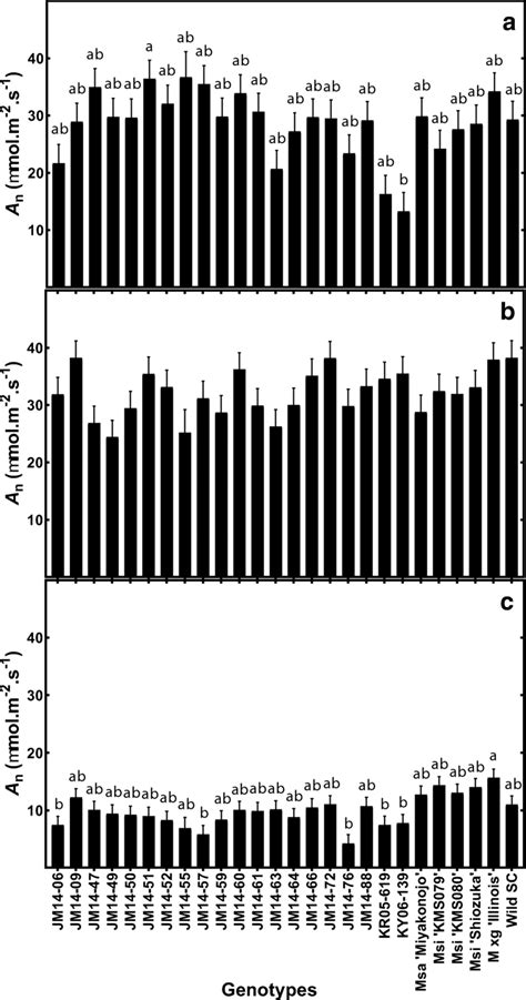 Seasonal Variation In Net CO2 Assimilation Rate An At Solar Noon