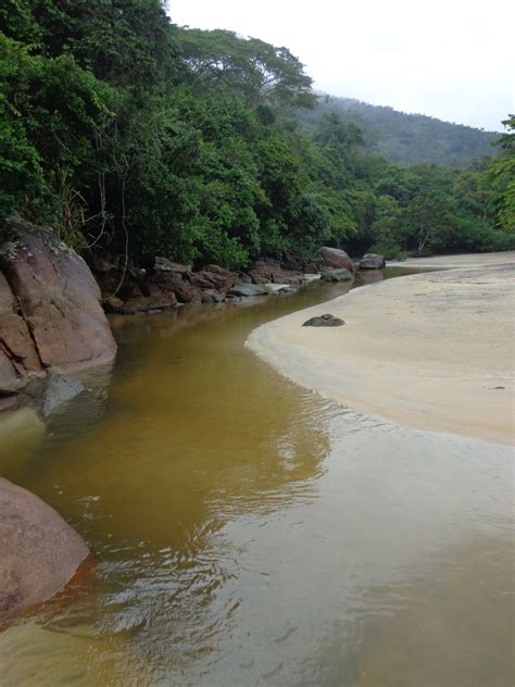 Caraguá Verde Trilha das Praias Desertas em Ubatuba AMAC Manacá