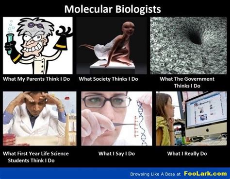 What Molecular Biologists Really Do Biology Humor Biology Jokes