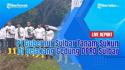 Pj Gubernur Sulbar Tanam Sukun Di Belakang Gedung Dprd Sulbar Youtube