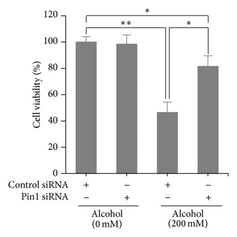 Knockdown Of Pin1 Inhibited Alcohol Induced Cardiomyocyte Apoptosis