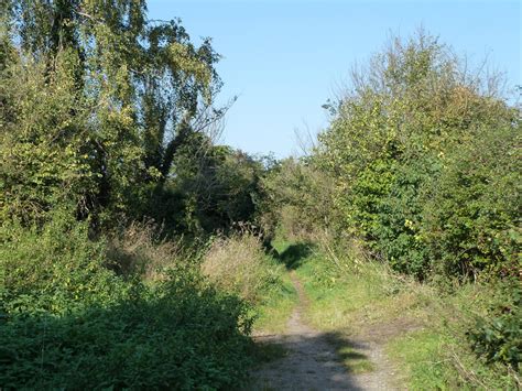 Footpath 33a Guildford Robin Webster Cc By Sa 2 0 Geograph