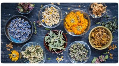 The Best Online Herb Suppliers The Complete Buying Guide The