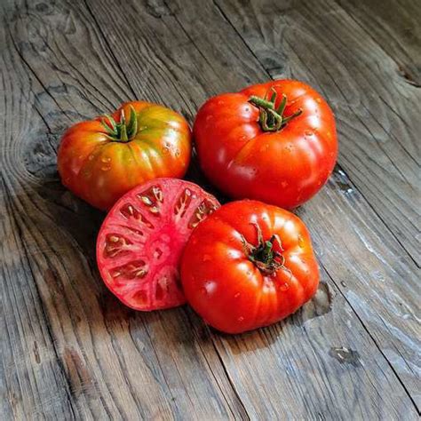 Tanunda Red Dwarf Tomato Project Meraki Seeds