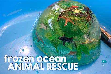 Frozen Ocean Animal Rescue