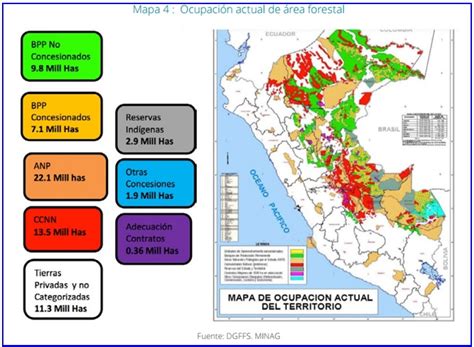 Un Sector Forestal Completamente Renovado Lampadia