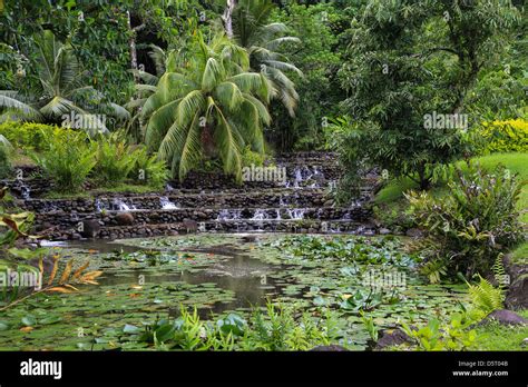 A Multi Level Cascade And Lily Pond At A Botanical Garden In Tahiti