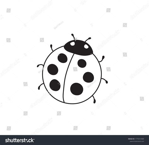 Ladybug Cartoon Black And White