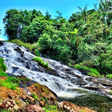 Atherton Tablelands Waterfalls