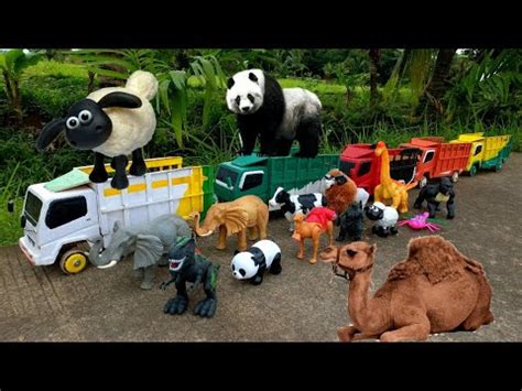 Truk Oleng Angkut Dinosaurus Godzilla T Rex Unta Gajah Sapi