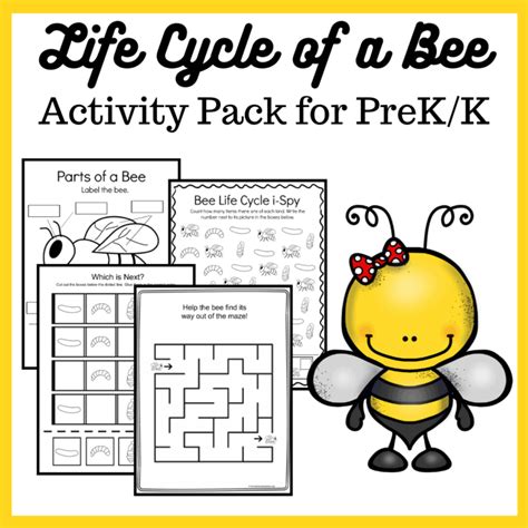 Printable Bee Life Cycle Worksheet