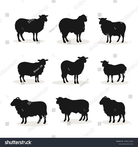 44,444 Sheep Silhouette Images, Stock Photos, 3D objects, & Vectors | Shutterstock