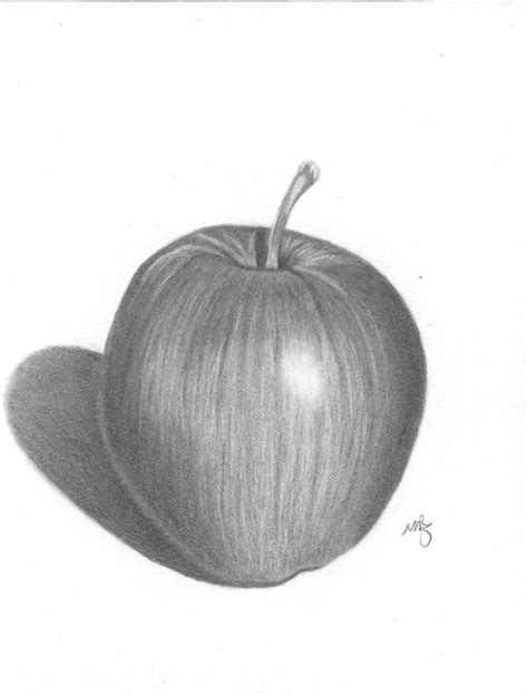 Realistic Apple Drawing at PaintingValley.com | Explore collection of ...