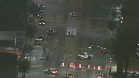 Female Pedestrian Struck Killed In Hyde Park Hit And Run Crash Abc7