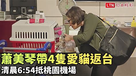 蕭美琴帶4隻愛貓返台 清晨654抵桃園機場 Youtube