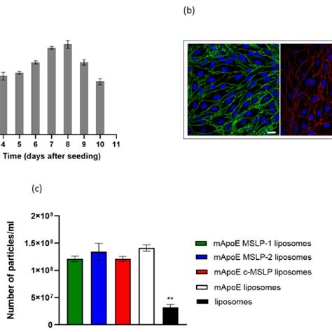 Characterization Of A Bbb In Vitro Model And Evaluation Of Its