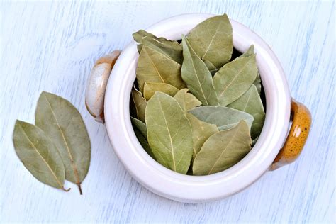 How To Use Bay Leaves The Misunderstood Herb Home Ec