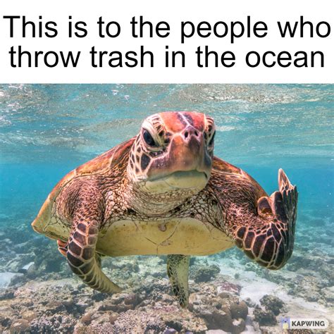 George the turtle says frick you : r/memes