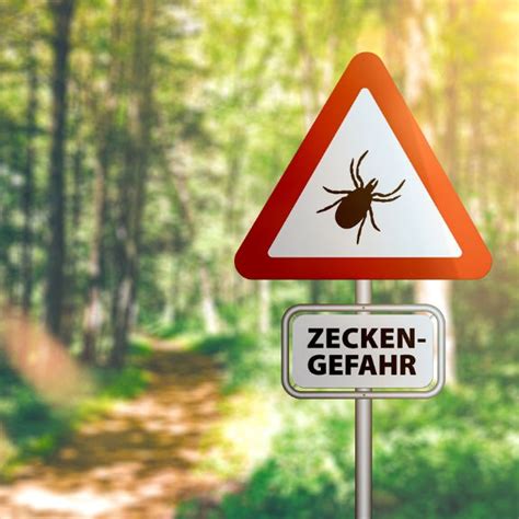 Borreliose Und Fsme Risikogebiete Krankheitsverlauf Behandlung