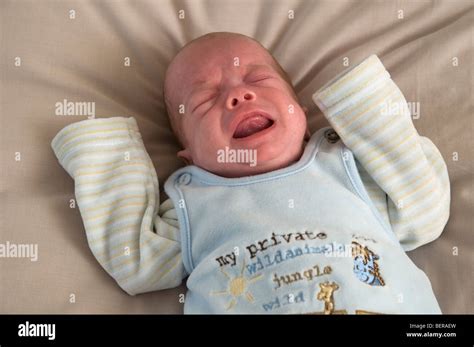 Newborn Baby Boy Crying Stock Photo Alamy