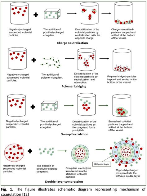 Figure 1 From Effectiveness Of Carica Papaya Dry Seed As Natural