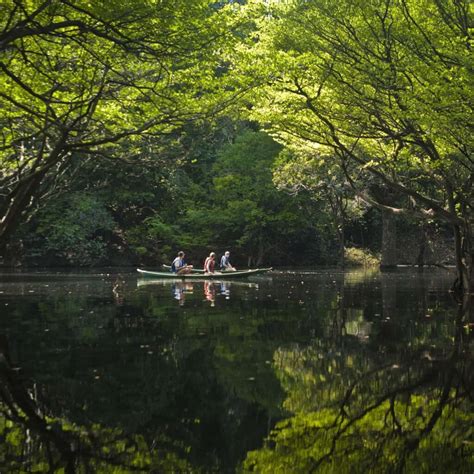 O Que Fazer Em Anavilhanas O Guia Completo Turismo De Natureza