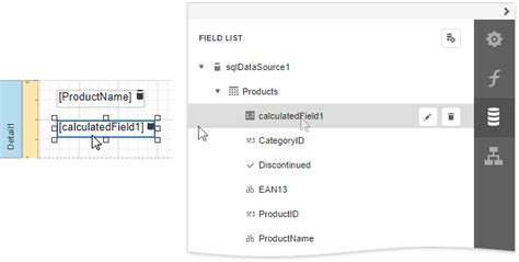 Calculated Fields Overview DevExpress End User Documentation