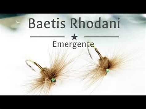 Montaje De Moscas Emergente Baetis Rhodani CDC Hackle Adelantado