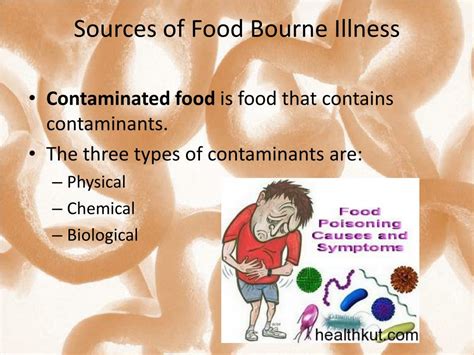 Ppt Chapter 6 Food Safety And Sanitation Powerpoint Presentation Id