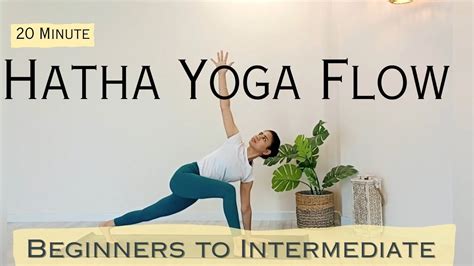 20 Minutes Hatha Yoga Flow Beginners Intermediate Full Body Yoga