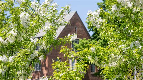 Staff Voice Staying Connected To Your Innate Health And Well Being Msutoday Michigan State