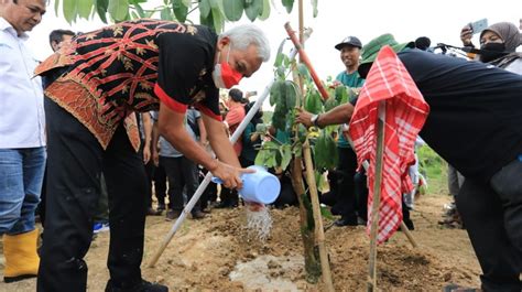 Antisipasi Bencana Jangka Panjang Ganjar Pranowo Gencarkan Tanam Pohon