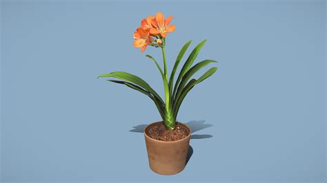 Bush Lily Buy Royalty Free 3D Model By Lassi Kaukonen Thesidekick