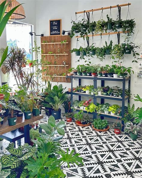 10+ Indoor Garden Ideas to Transform Your Space - Decor Dojo