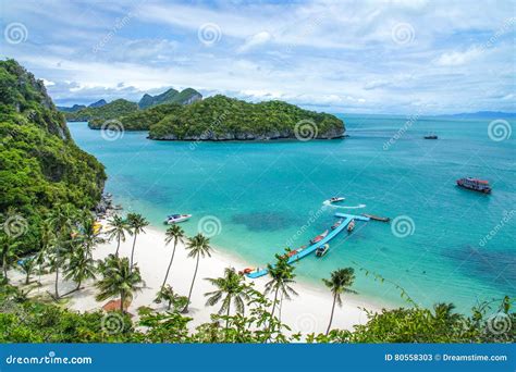 Beach And Coconut Trees On An Island Of Mu Ko Ang Thong National Marine