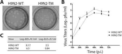 Recombinant Influenza H9N2 Virus With A Substitution Of H3