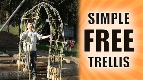 Diy Garden Arch How To Build Garden Arched Trellis Between Raised