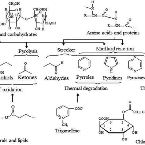 Schematic Representation Of The Relationship Between Precursor