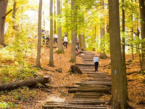 Oak Ridges Trail Association Newmarket Jokers Hill Whipper Billy