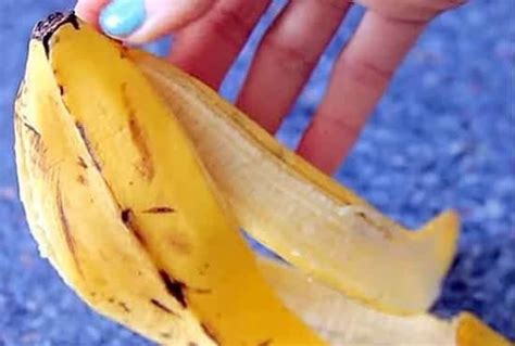 Ne Jetez Plus les Peaux de Banane 20 Façons de Les Utiliser Peau