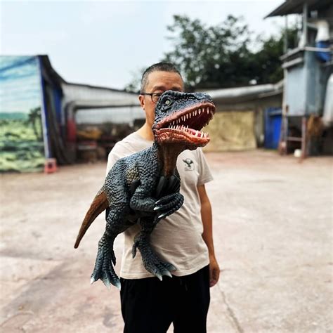 Realistic Baby Raptor Hand Puppet For Sale X Dino