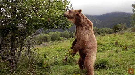 Documentaire Le Plus Beau Pays Du Monde Opus 1 La France Comme