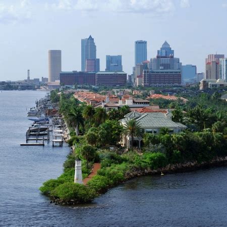 Top Reasons To Move To South Tampa Living In South Tampa Moving To