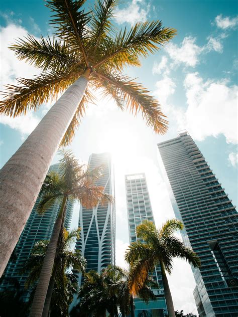 Tropical City Pictures | Download Free Images on Unsplash