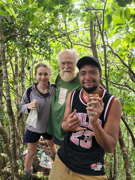 Kakerori Record Breaking Numbers