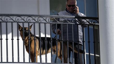 Il Cane Di Biden Ha Assalito Agenti Prima Di Essere Portato Via