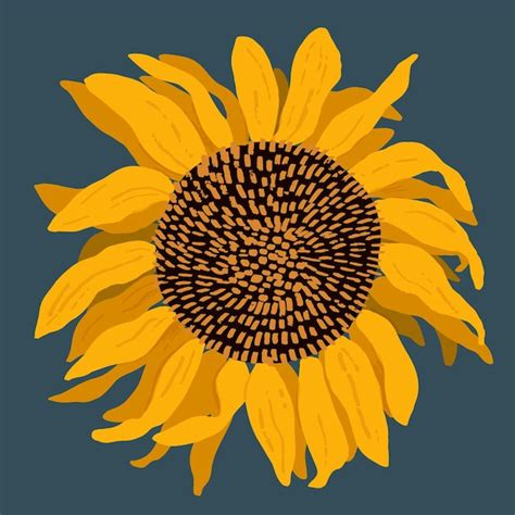 Girasol Dibujado A Mano Vector Ilustraci N Plana Moderna Vector Premium