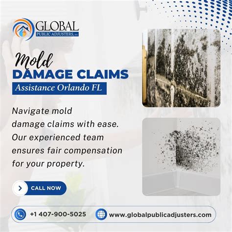 Professional Mold Damage Claim Assistance In Orlando Fl Global